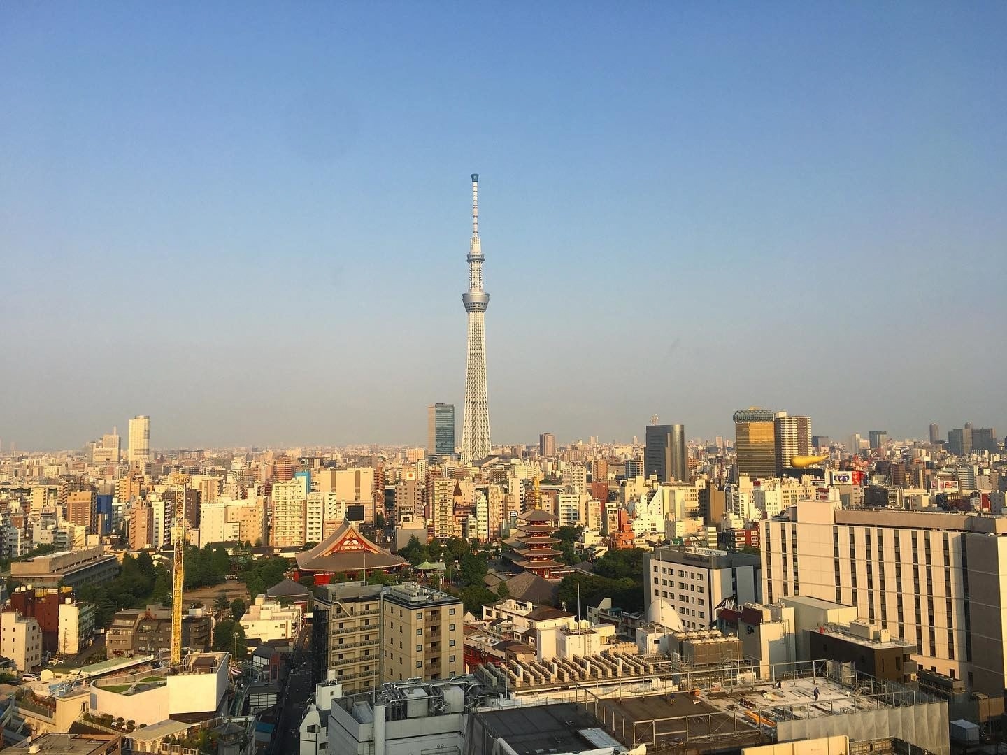 tokyo tower japan city view