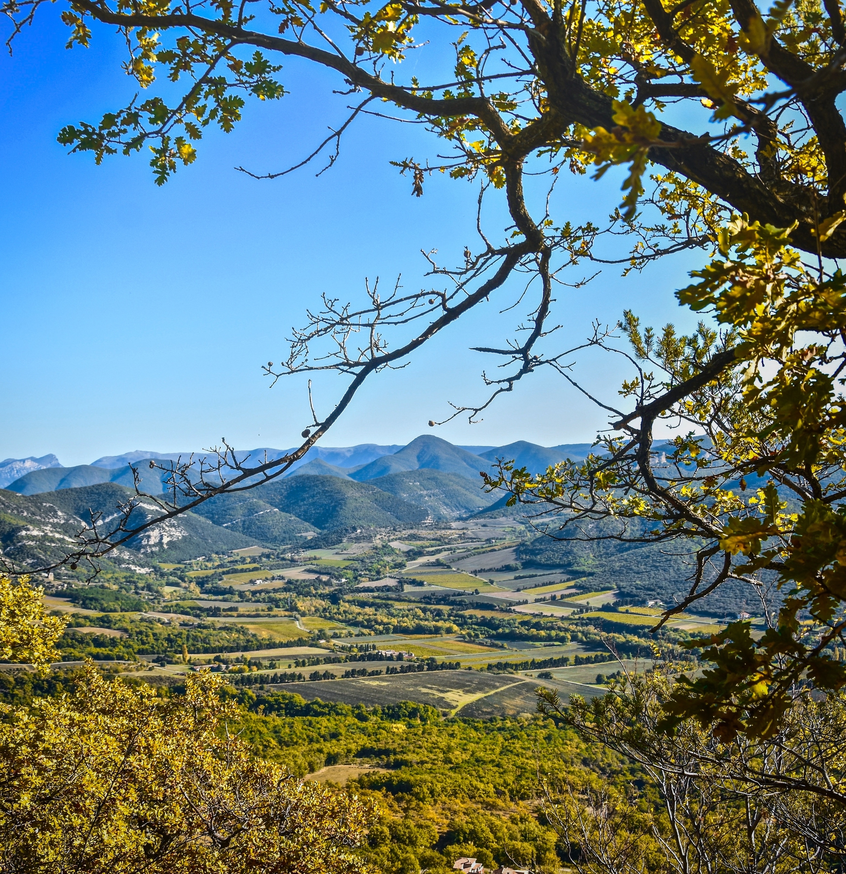 Guide de voyage Grignan : les paysages du territoire