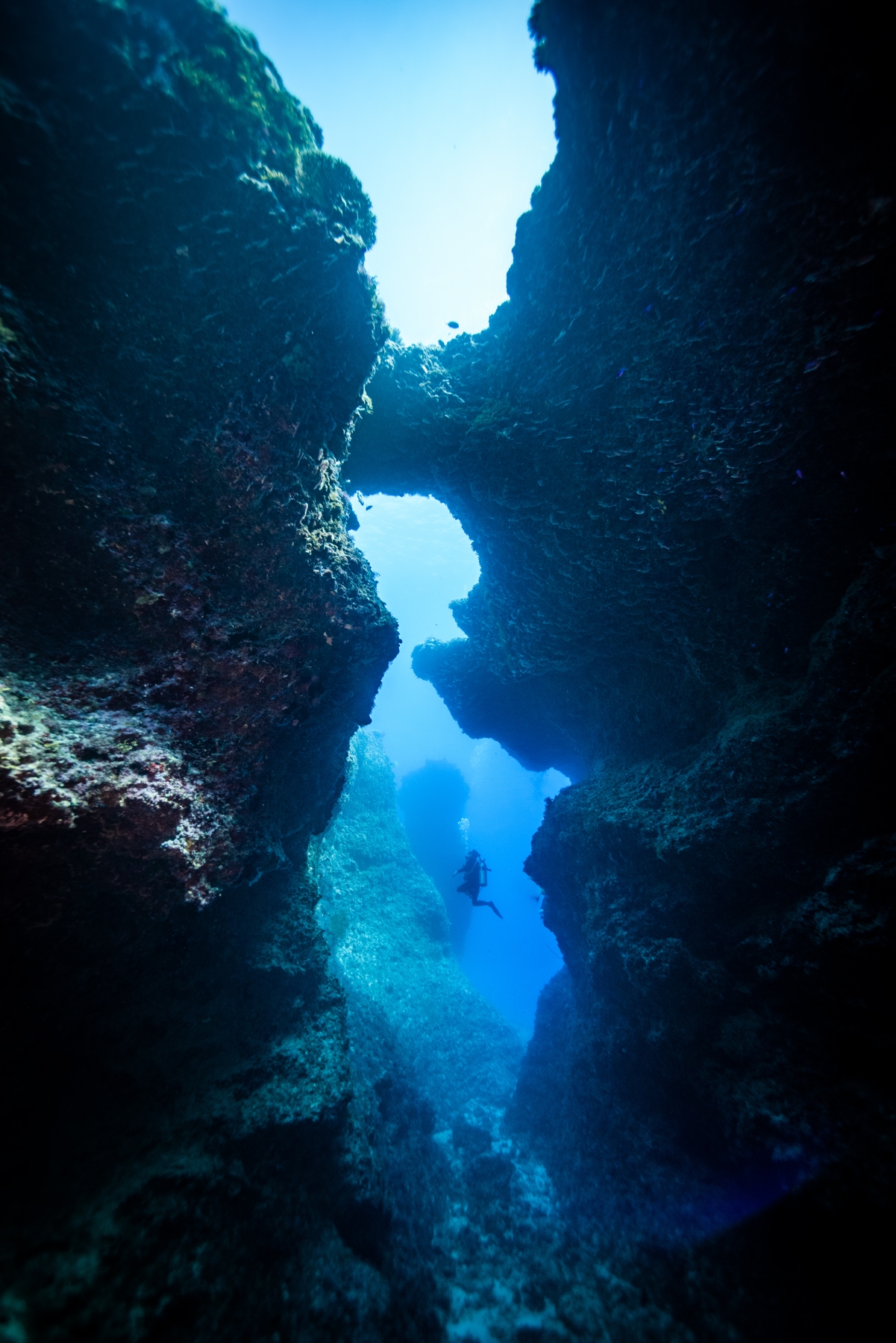 Diving - travel insurance tips