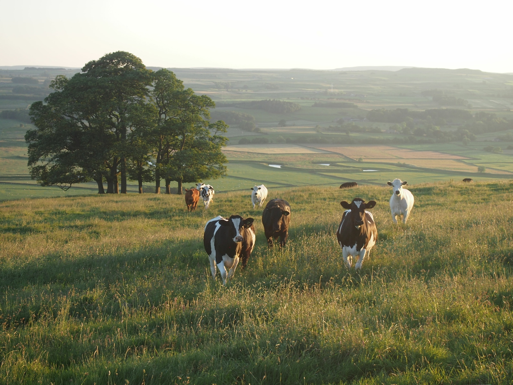 yorkshire dales