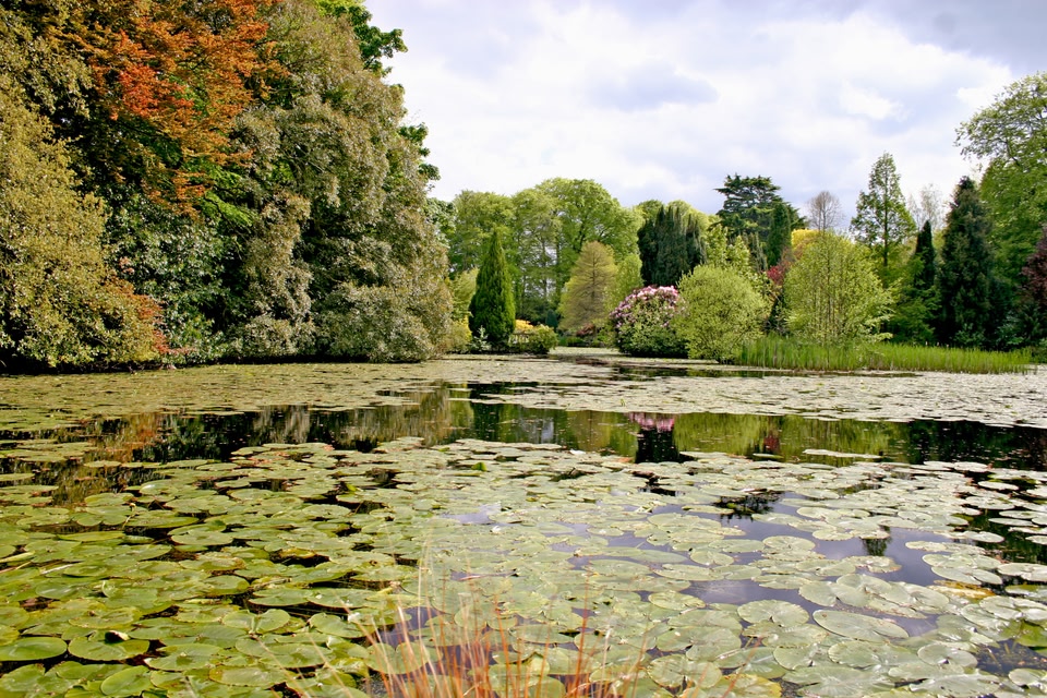Enjoy the verdant countryside with activity holidays in Ireland's rivers