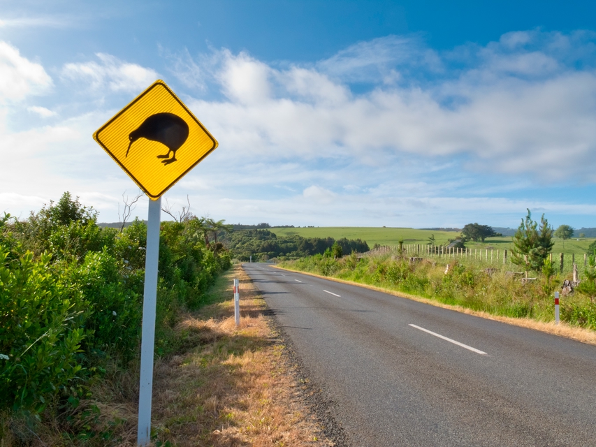 Driving in New Zealand