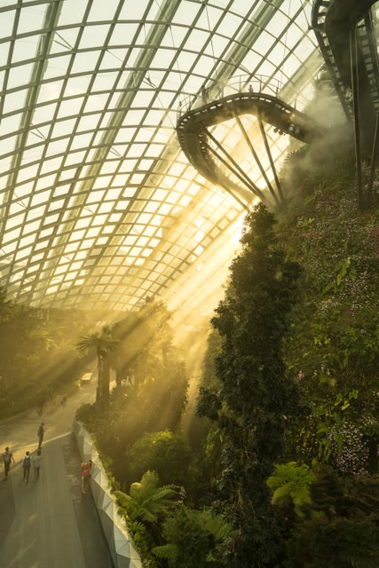 Θερμοκήπιο στο Gardens by the Bay, ένα απ' τα ωραιότερα αξιοθέατα που θα δείτε σ' ένα ταξίδι στη Σιγκαπούρη