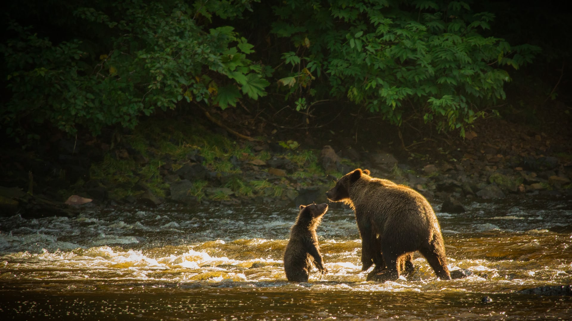 Juneau