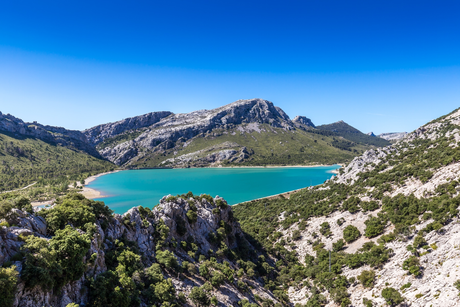agua turquesa de emblase de Gorg Blau