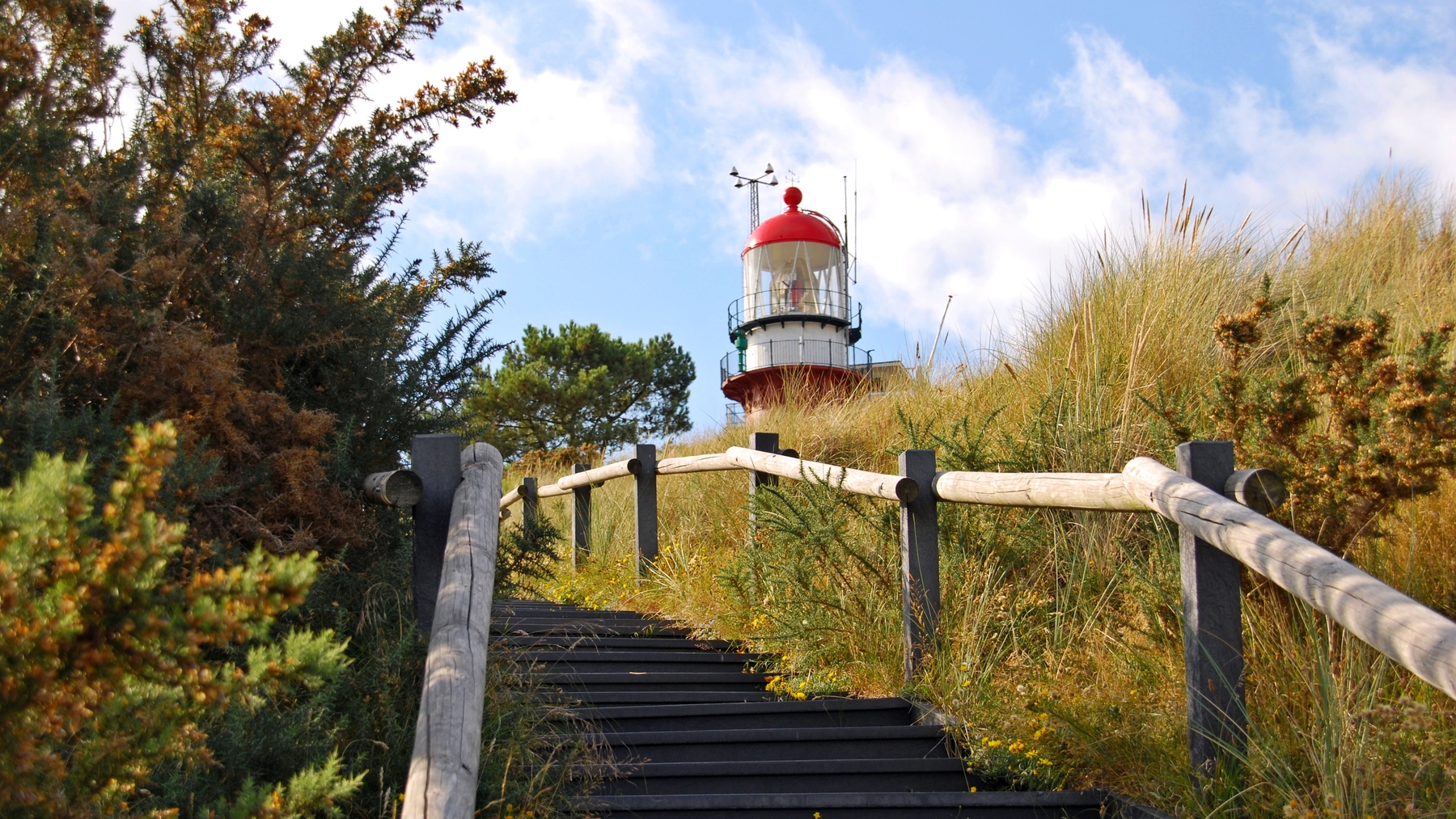 Vakantie in Nederland: Vlieland