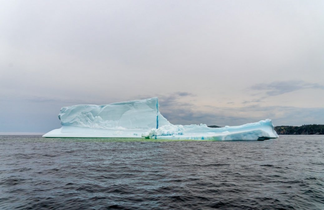 iceberg view on the water on a boat tour in Newfoundland