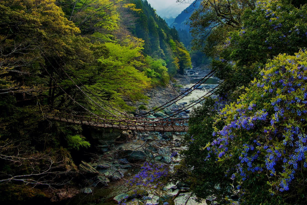 徳島県 祖谷のかずら橋