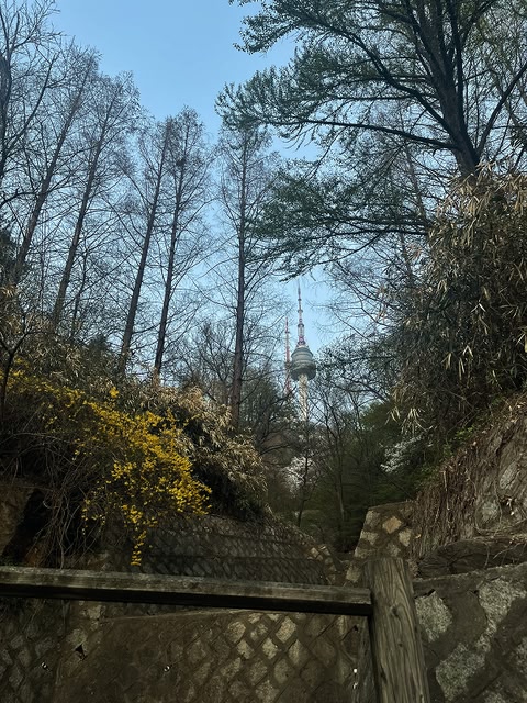 Próximo destino Seúl - Corea del Sur - Skyscanner