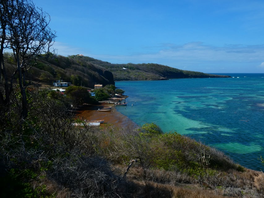Una delle bellissime spiagge di Martinica - Quando visitare le Antille Francesi