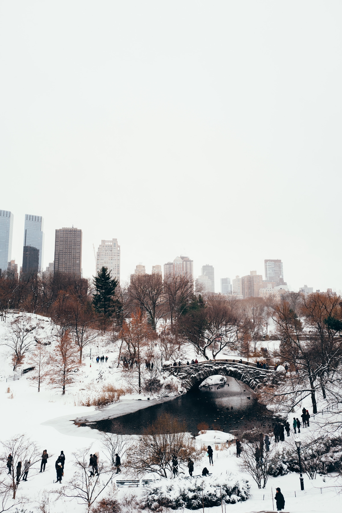 Der Central Park im Winter