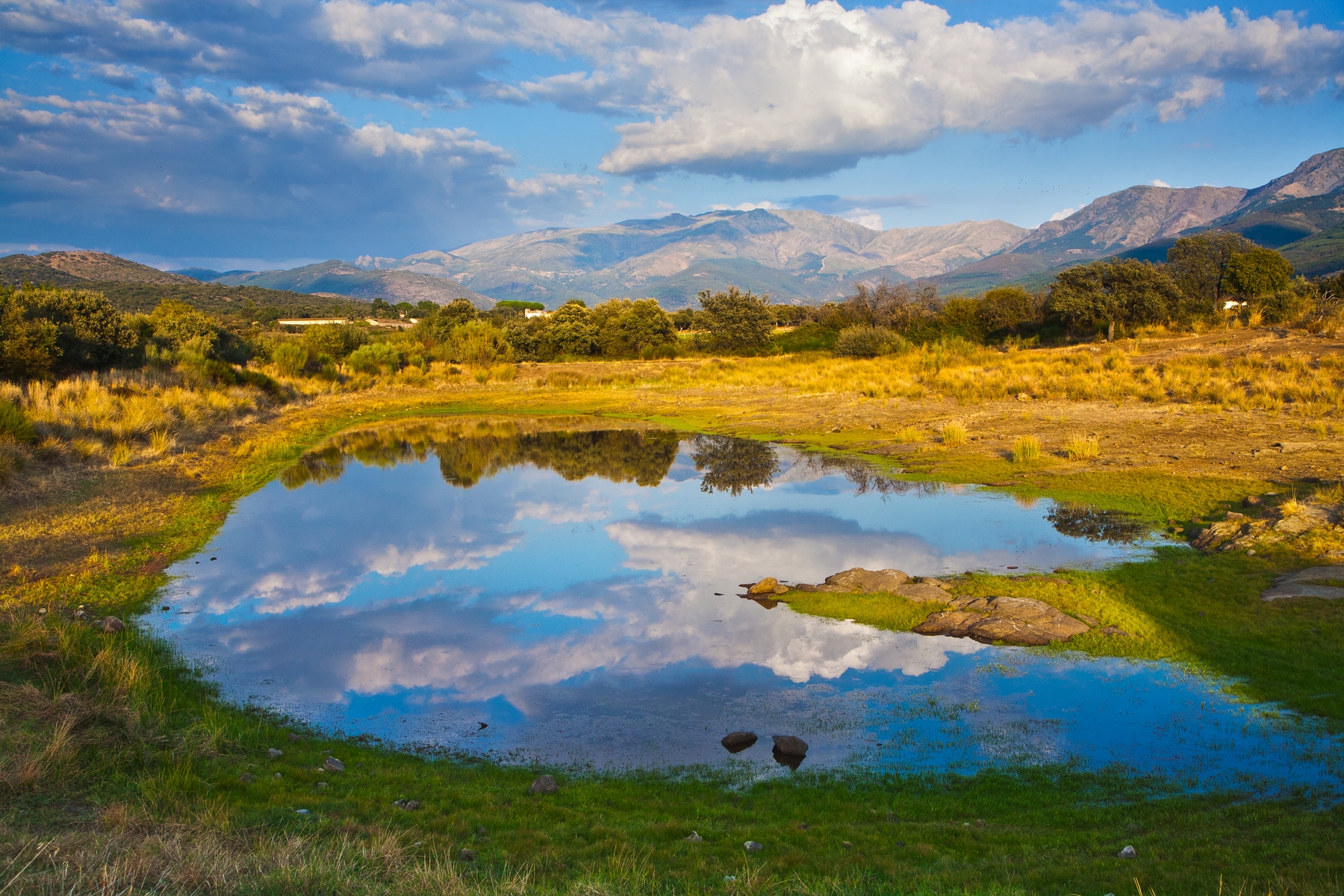 Dehesa de Extremadura