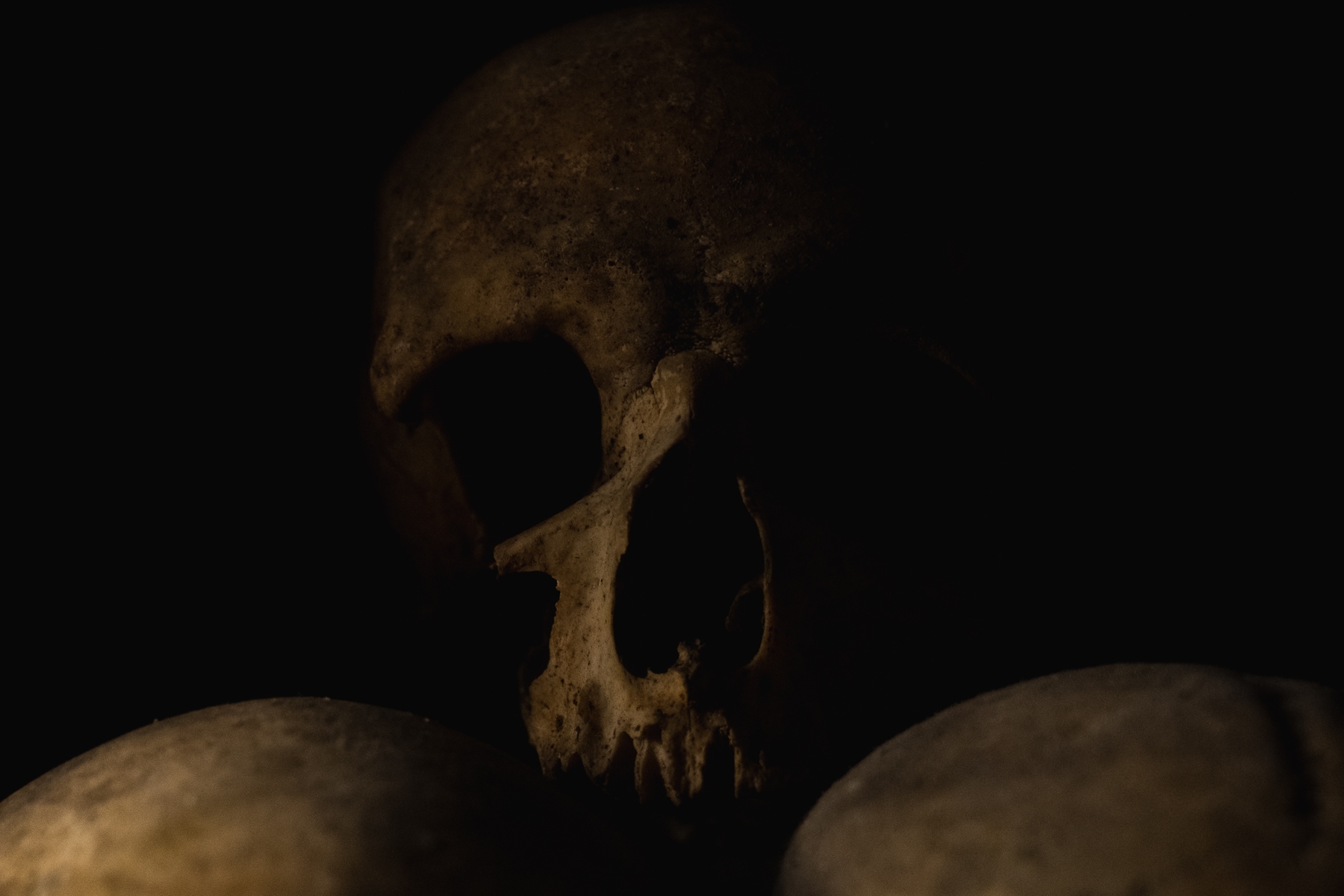 Dark image of a human skull sitting on top of two other skulls in the Paris Catacombes, one of the best places to visit in Paris.