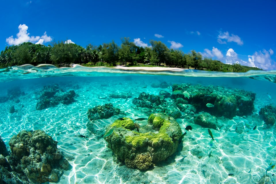 사진 제공 : 마리아나 관광청(Mariana Tourism Office)사이판, obyan beach