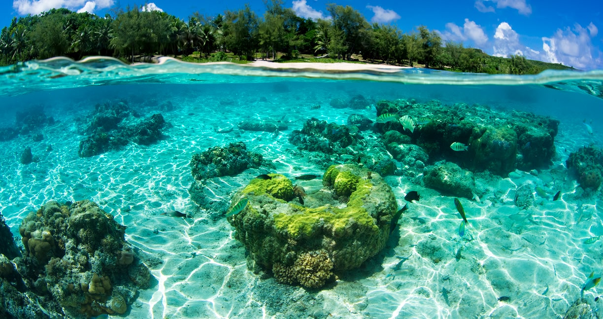 사이판 여행 숙소 추천 하얏트 리젠시 동남아 리조트 호텔 조식 수영장