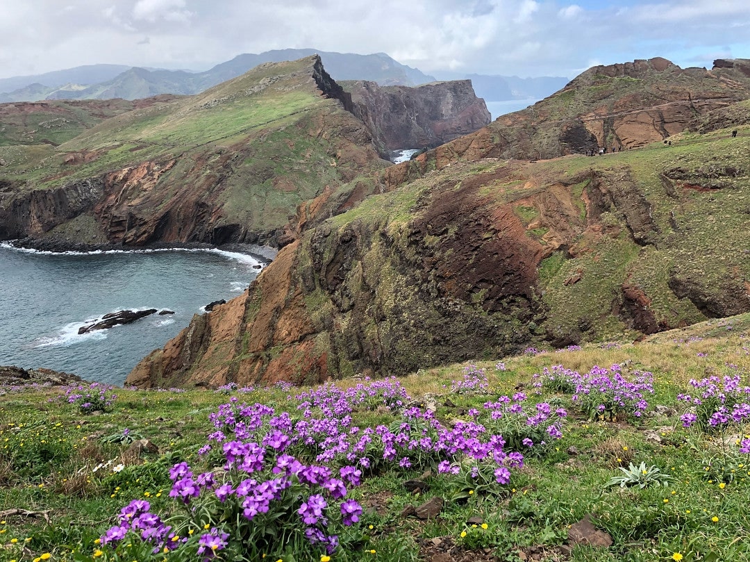 Madeira ist perfekt für eine Last Minute-Reise im Januar