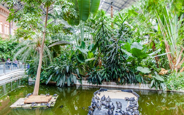 Πλούσια βλάστηση στον σταθμό Atocha - ταξίδι στη Μαδρίτη
