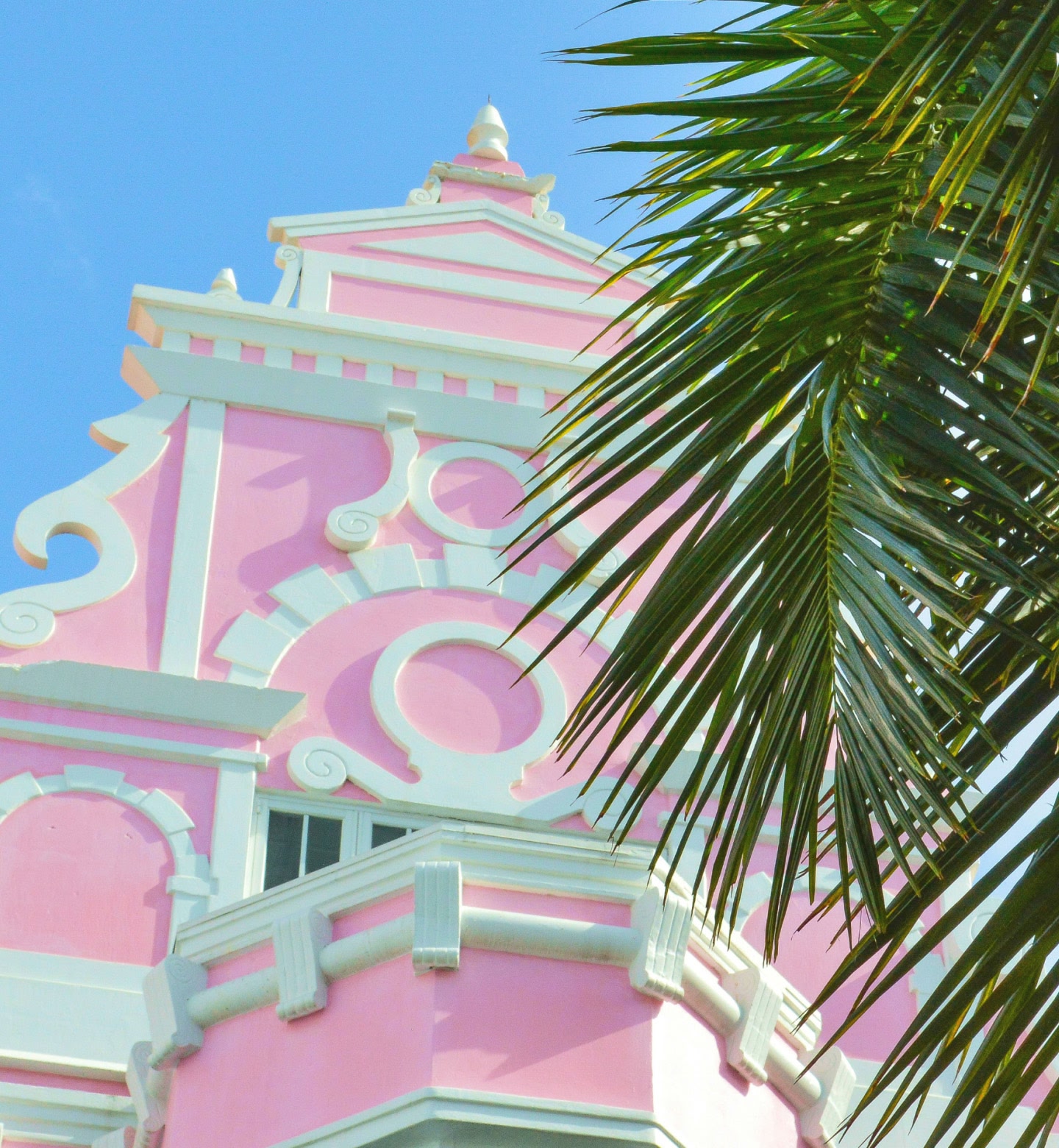 Um edifício de estilo colonial rosa brilhante com uma palmeira em primeiro plano em Oranjestad, Aruba.