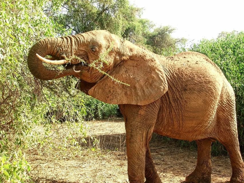 Where's hot in December? Plan your winter sun holidays Skyscanner