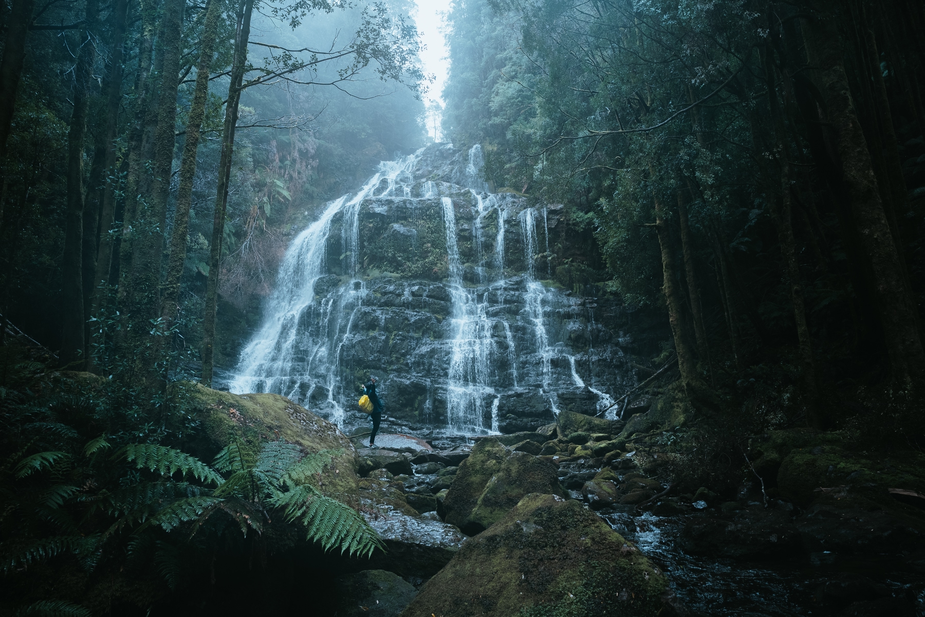 The Nelson Falls in Wild Rivers National Park