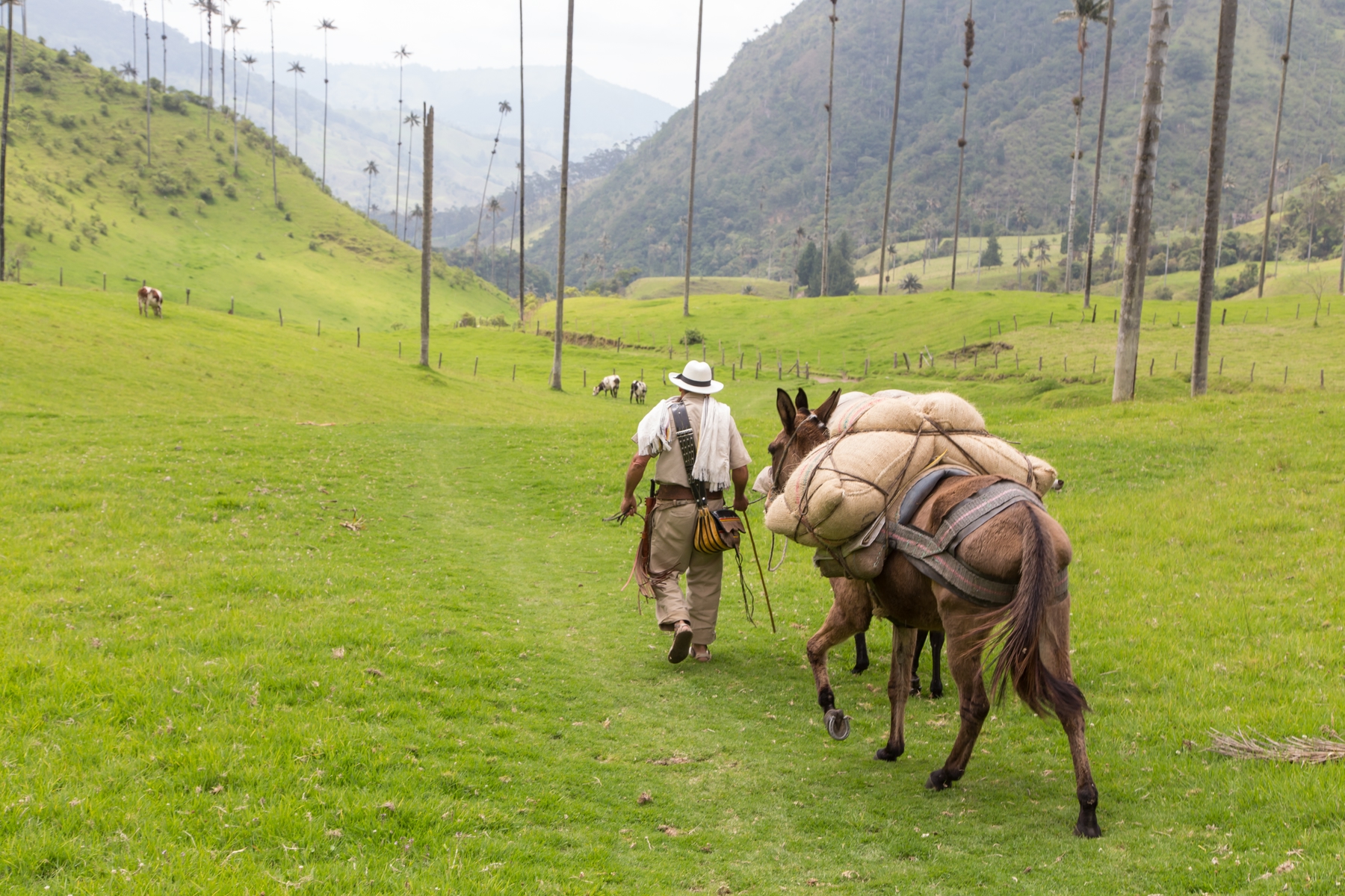 Colombia es el paraíso para los viajeros por su gran diversidad de paisajes