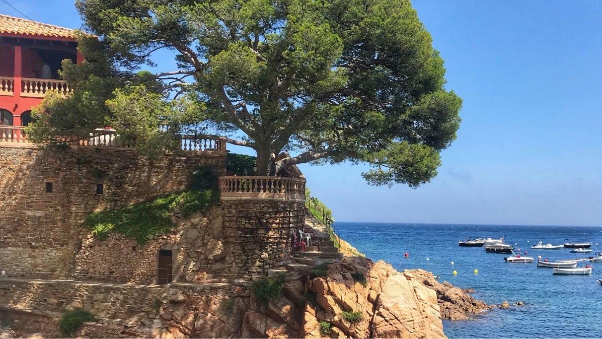 Une image d'un arbre vert sur une formation rocheuse brune, devant la mer bleue en espagne pendant la journée.