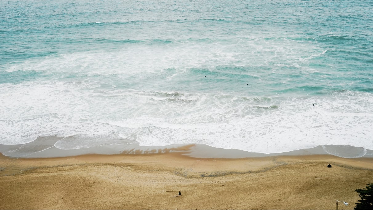 The shoreline at the beach in San Fransisco.