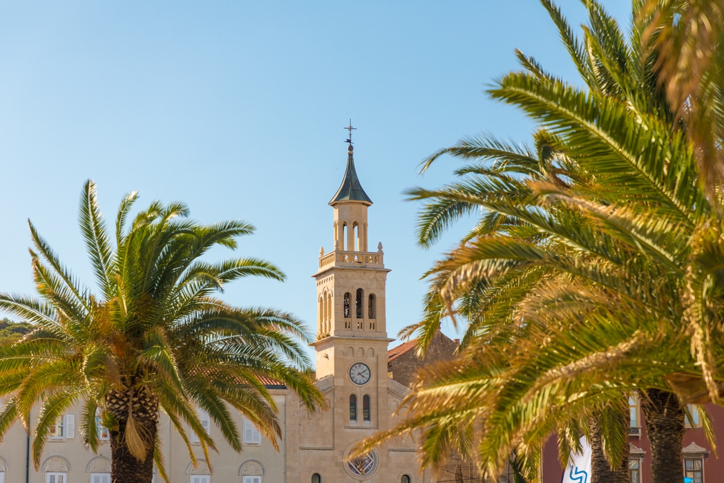 Bell tower flanked by palms - 9 best things to do in Split