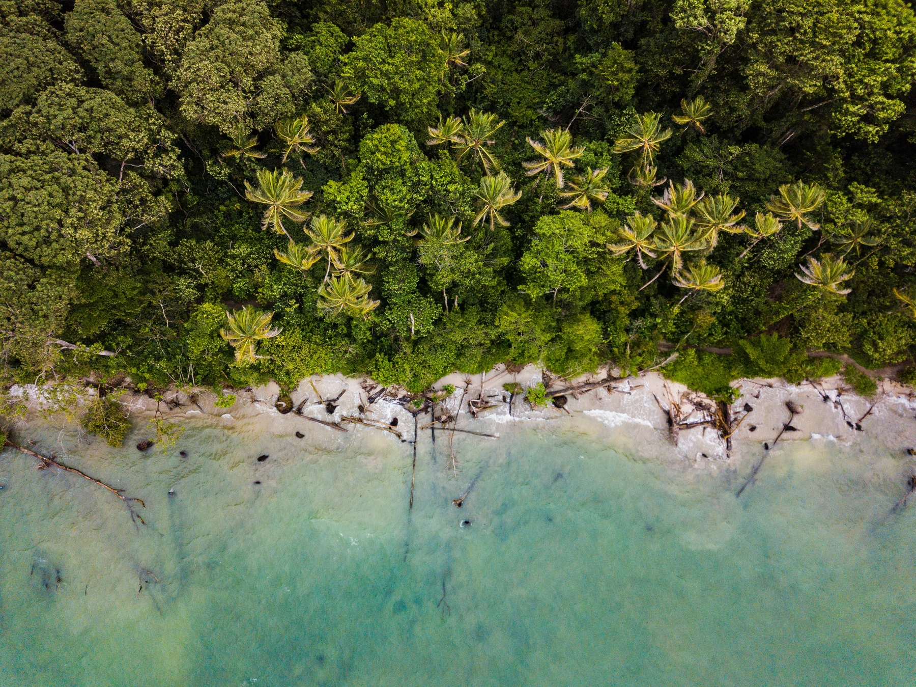 Costa Rica remote werken