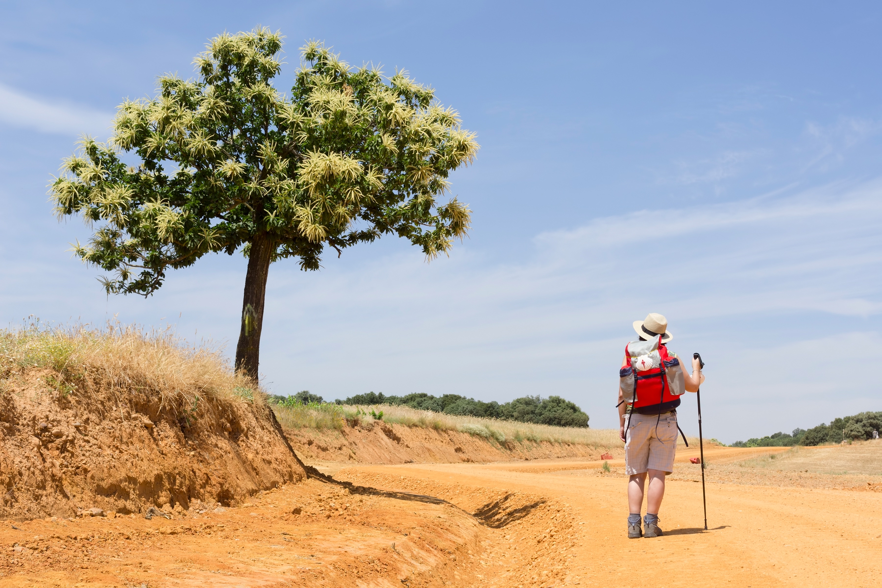 Faire de la randonnée en France pour prendre l'air