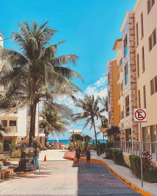 Palm tree lined street with the sea in the background, Playa del Carmen