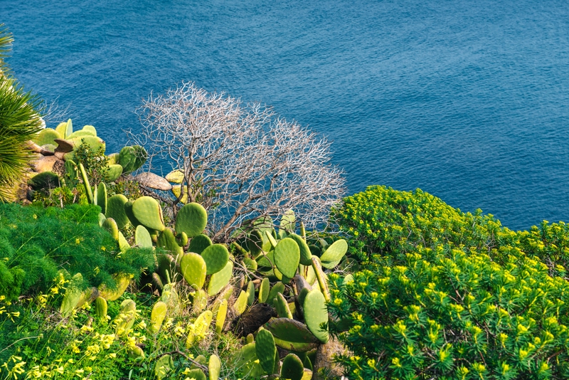 Isole della Sicilia: Salina