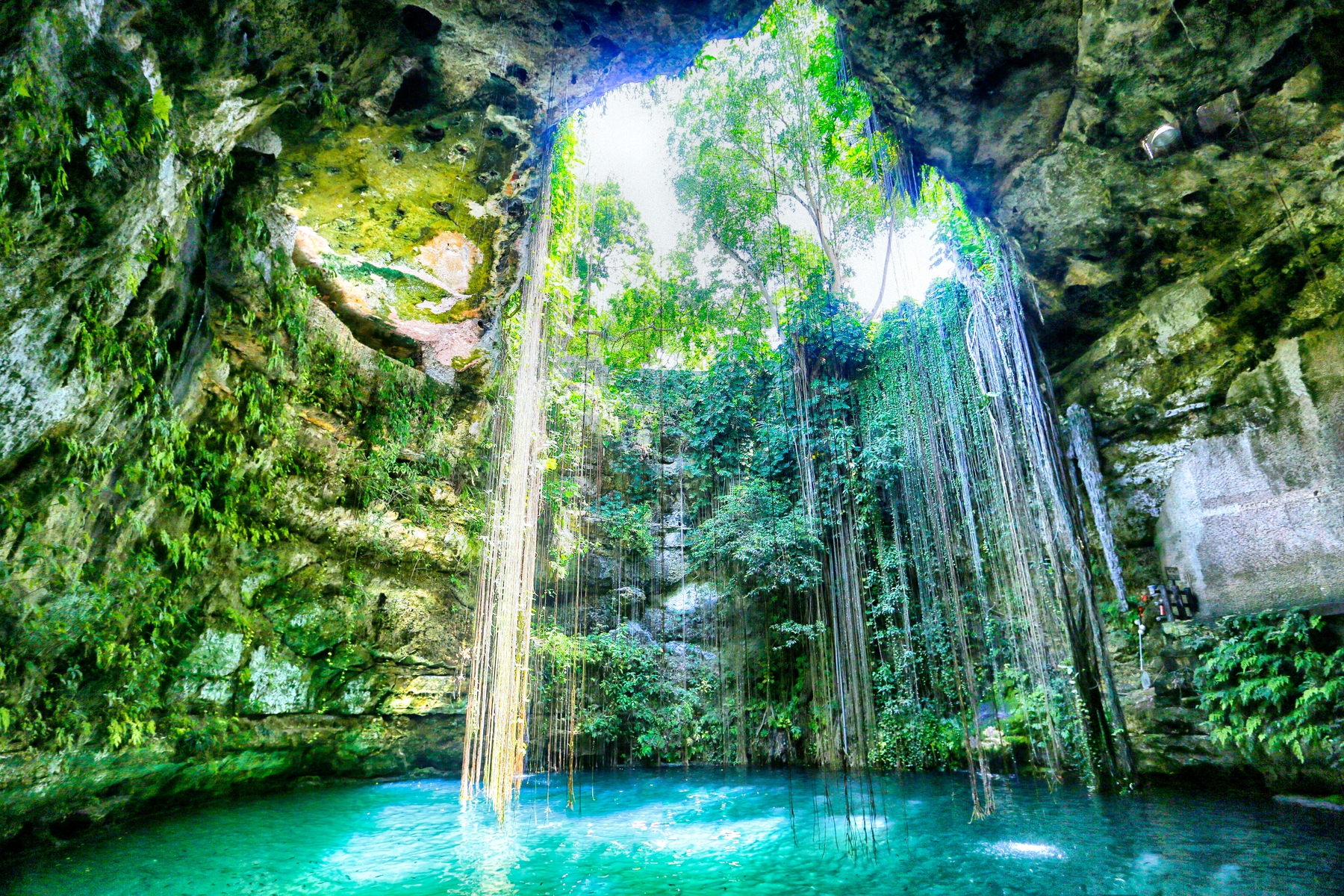 Cenote mexicano com água azul turquesa e fenda cercada por vegetação.