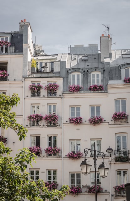 white apartment building in Paris, pink flowers in the windows.