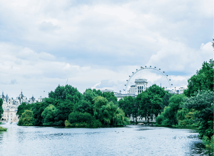 A scenic shot taken from across the River Thames, a cluster of tall green trees frames the iconic London Eye and the roof of the historic County Hall building, creating a picturesque skyline.