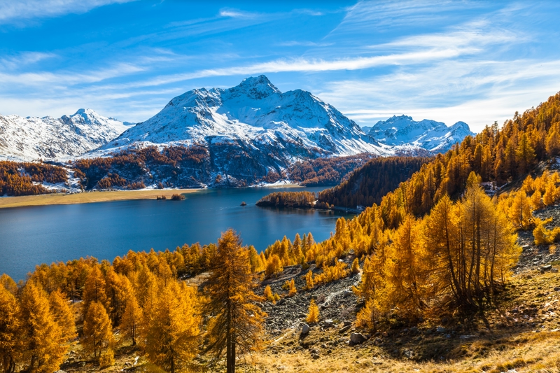 Glücklich Schweiz