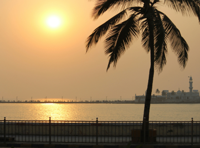 Stunning sunset view with a golden yellow sky, featuring the silhouette of a palm tree and the serene sea in the background.