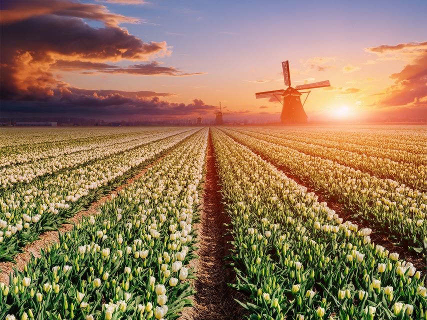 Hollanda Schengen Vizesi Ücreti