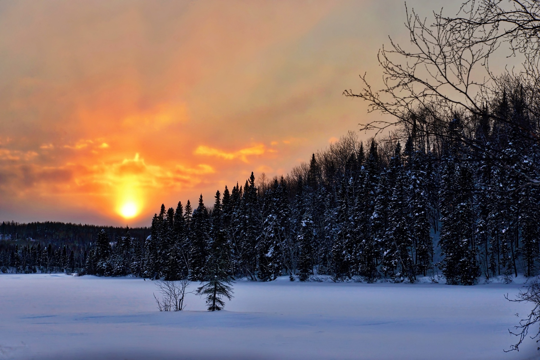 snowy evening and forest in the Quebec countryside