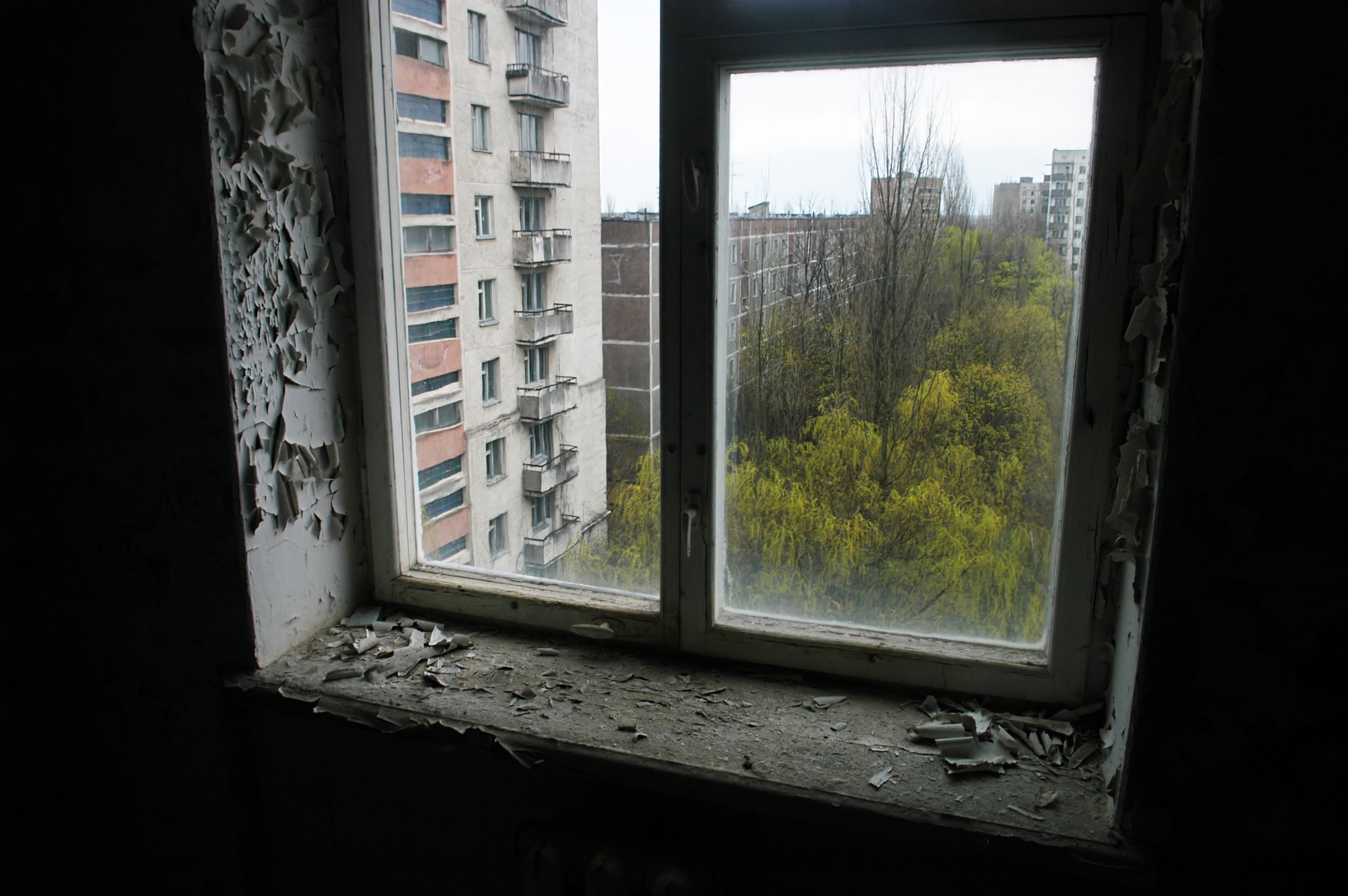 Pripyat, Ukraine overtaken by nature after Chernobyl Nuclear Plant disaster