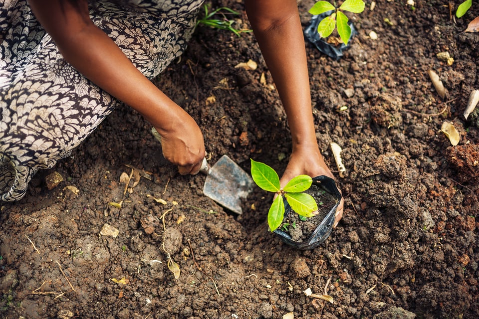 Nachhaltiger Tourismus auf Barbados