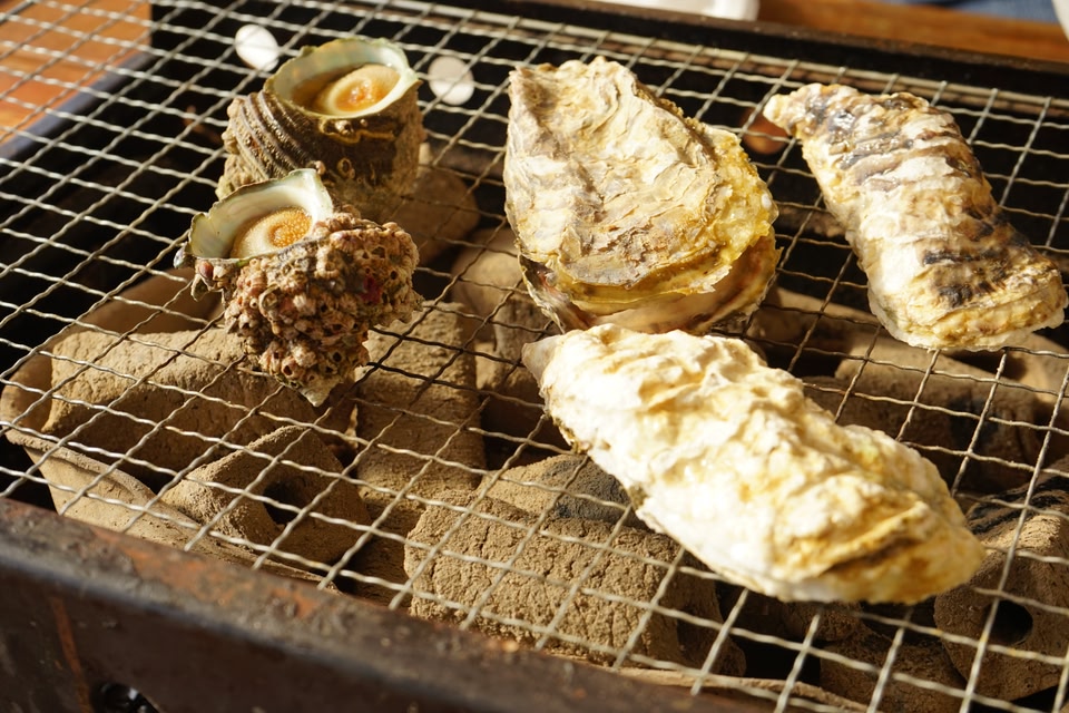 Prawns and Oysters with shells grilling on barbecue grill coal oven, hot fire below grate