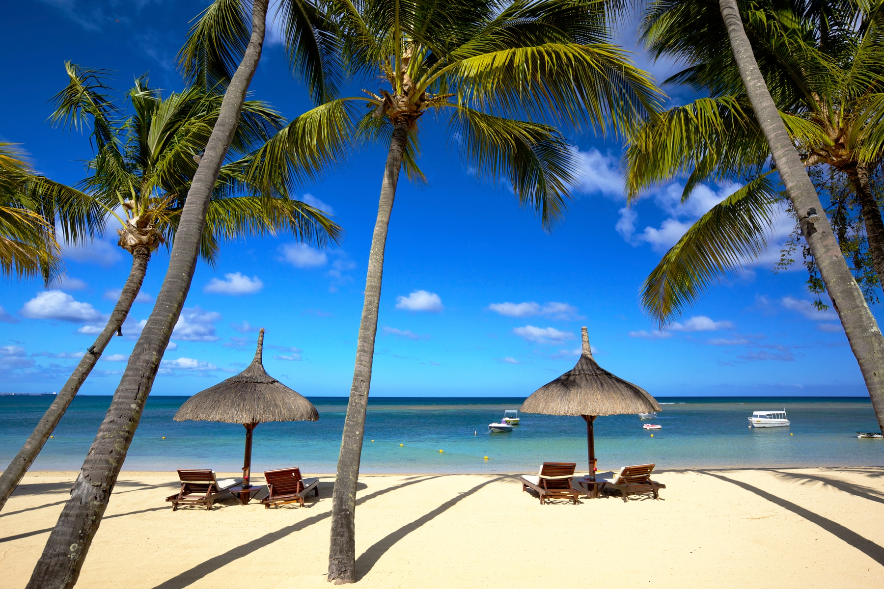 A beach in Mauritius, ideal for the January holidays