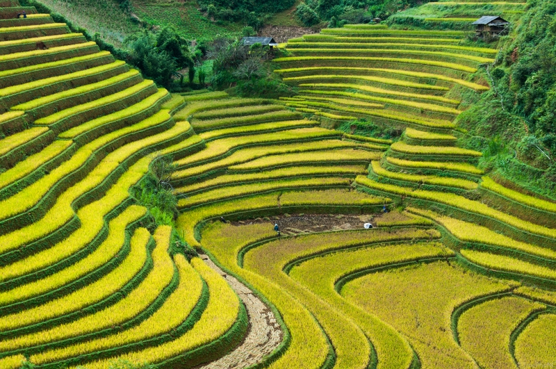 Cosa vedere in vietnam