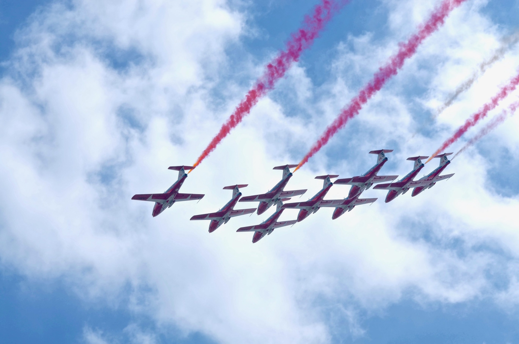 Snowbirds flying overhead for Canada Day celebrations