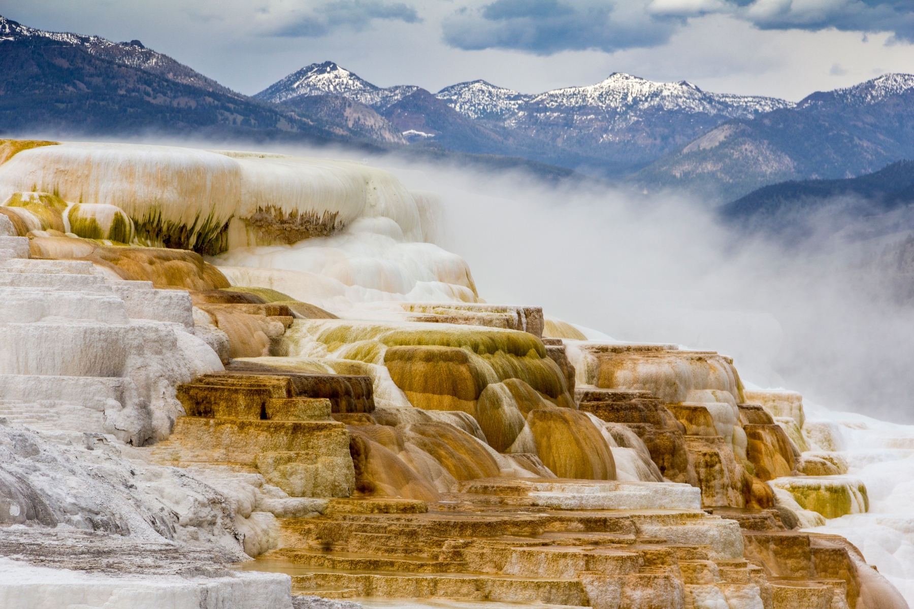 Cascading geothermal water from Mammoth Hot Springs, a Yellowstone Vacation spot