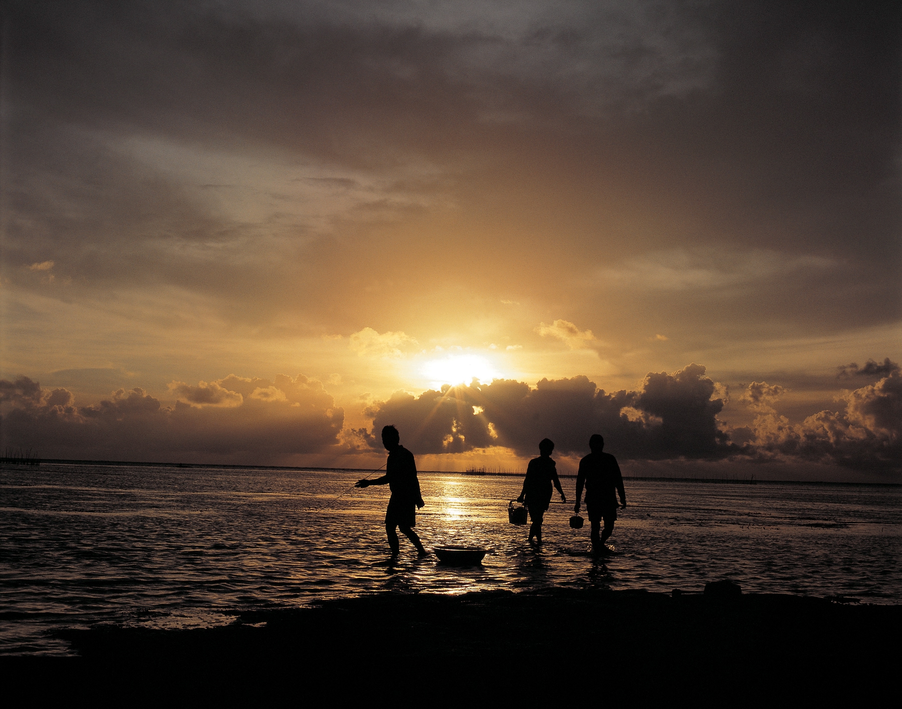 silhouette of people playing in the water by the beach at sunset