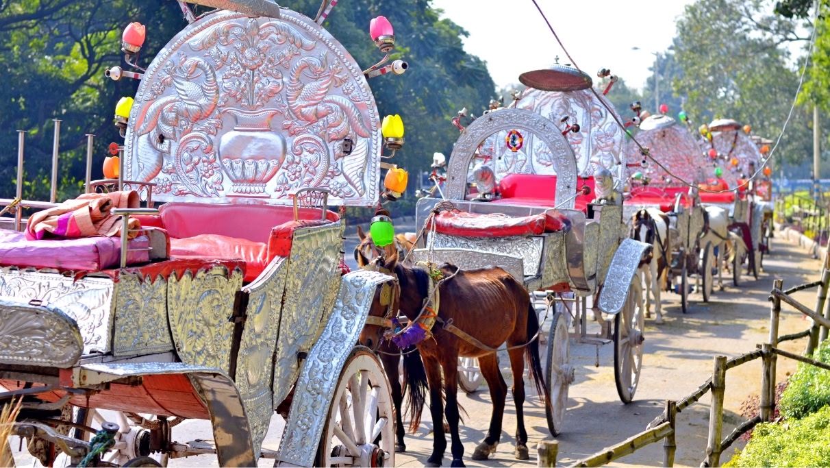 brown horses with carriage on the street in Kolkata