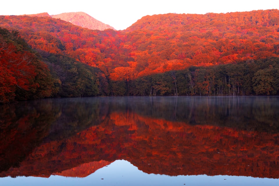 青森県 蔦沼