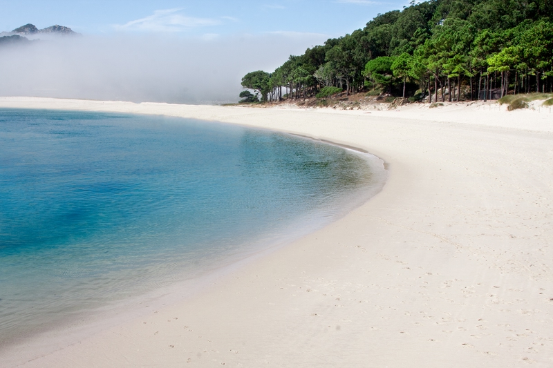 cies